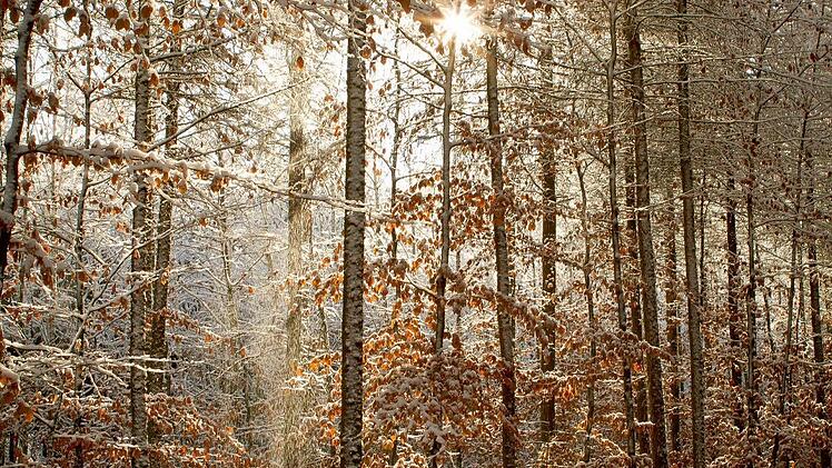 Winter in Morschreuth. Foto: Tom Kern