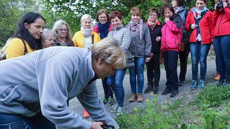 Kräuterseminar: Impressionen einer Entdeckungsreise Foto: Barbara Herbst