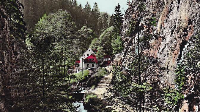 Hier sollte in der Steinachklamm die Steinach mit einer 50 Meter hohen Mauer angestaut werden. Die Hammerschmiede Waffenhammer (um 1800 Familie Gundermann) war um 1900 auch eine vornehme Sommerfrische der Familie Josef Geyer. Reproduktionen: Siegfried Sesselmann