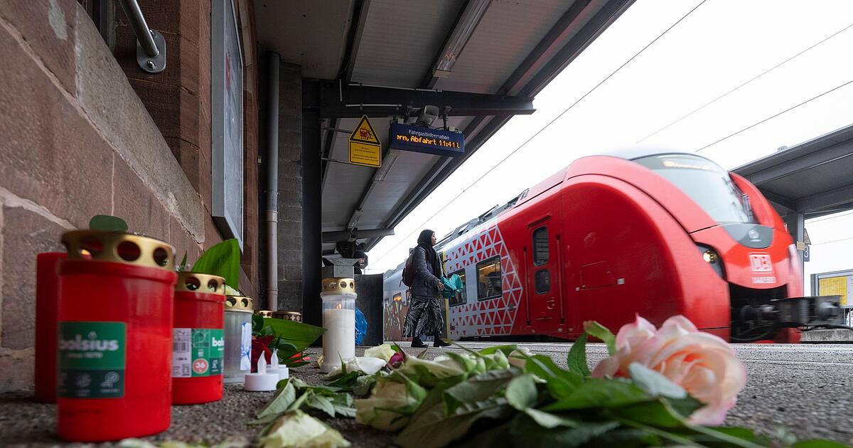 Dead ticket inspector near Landstuhl: Railway boxer (26) not a murderer ...