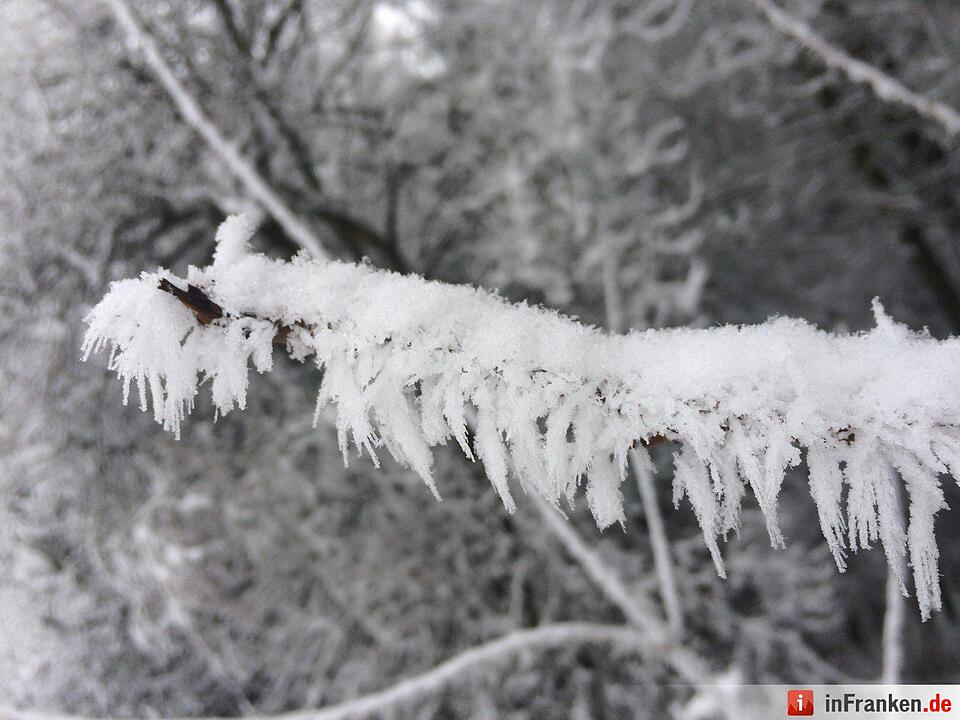 Schnee in Franken Januar 2017 - Leserfotos