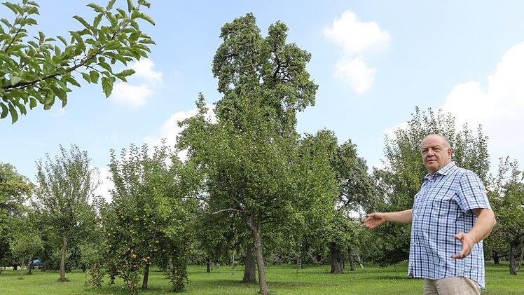 Die Streuobstwiese ... Foto: Barbara Herbst