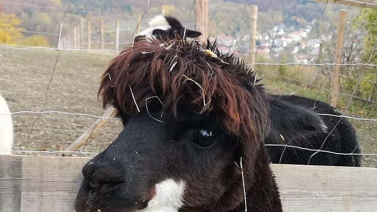 Die Frisur? Passt schon. Foto: Marion Eckert