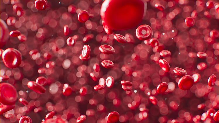 Symbolbild: Blut, rot