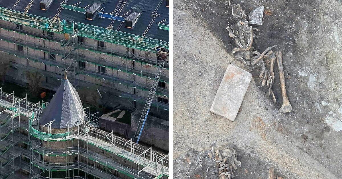 Würzburg: Archaeologists find human bones at Marienberg Fortress