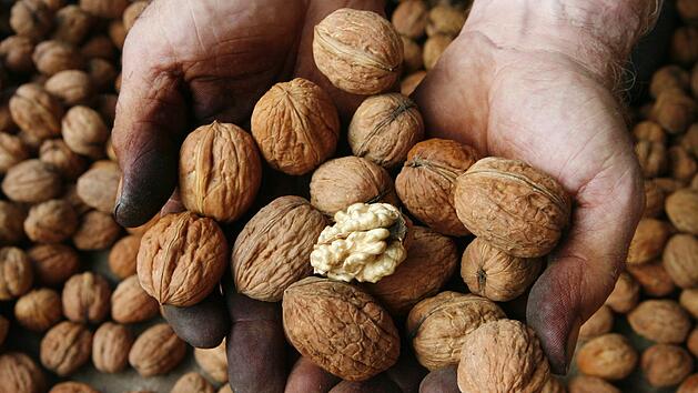Ein t&auml;glicher Nuss-Konsum soll gegen eine ungewollte Gewichtszunahme helfen - stimmt das? Symbolfoto:  Rolf Haid dpa