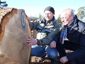 Oliver Kröner, Leiter des Amts für Ernährung, Landwirtschaft und Forsten Bad Neustadt, begutachtet mit dem FBG-Vorsitzenden Gotthard Schlereth einen Eichenstamm auf dem Wertholzplatz. Fotos: Ralf Ruppert