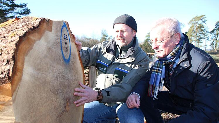 Oliver Kröner, Leiter des Amts für Ernährung, Landwirtschaft und Forsten Bad Neustadt, begutachtet mit dem FBG-Vorsitzenden Gotthard Schlereth einen Eichenstamm auf dem Wertholzplatz. Fotos: Ralf Ruppert