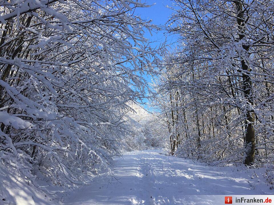 Eis und Schnee in Franken - die schönsten Winterleserfotos
