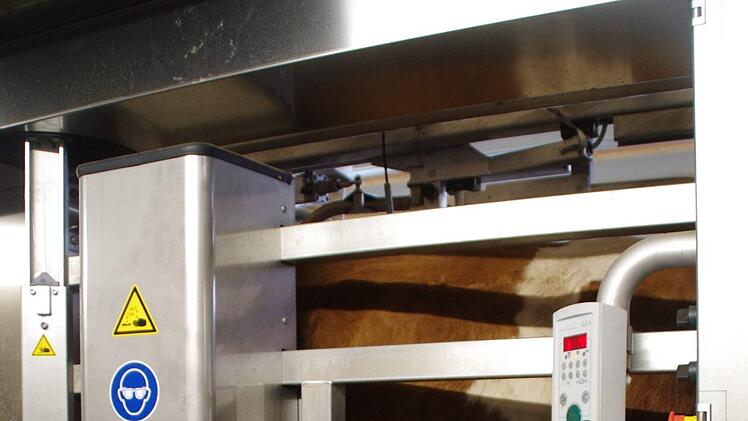 Eine Kuh steht im Melkroboter. Foto: Marco Meißner