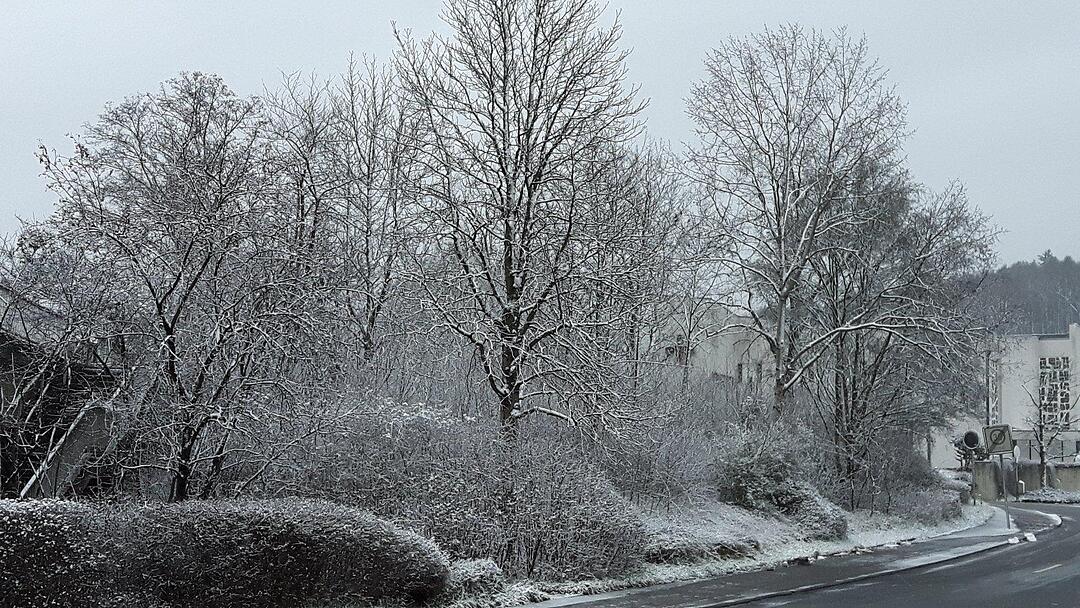 Schnee und Eis - Die schönsten Aufnahmen aus Franken