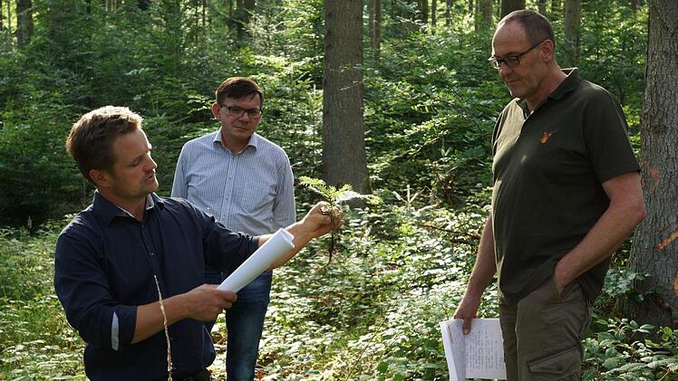 Matthias Wallrapp erklärt, wie eigene Setzlinge für Aufforstungen gewonnen werden.Foto: Arkadius Guzy