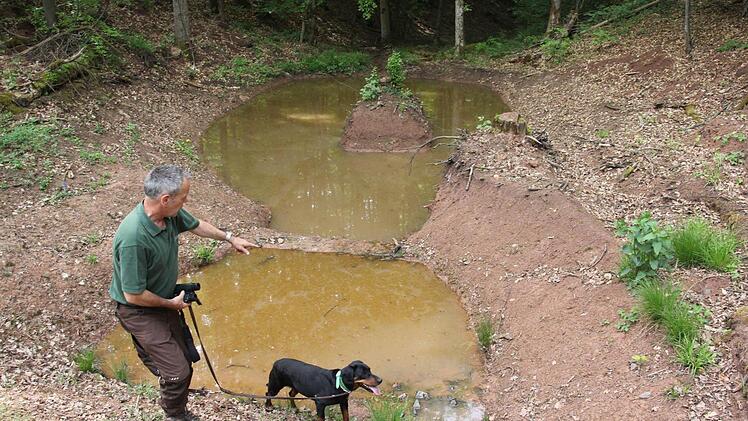 Biotope wie dieses, an dem Wolfgang Gnannt mit Haifa steht, gibt es mehrere rund um den Käppelesberg bei Ebern.  Foto: Helmut Will