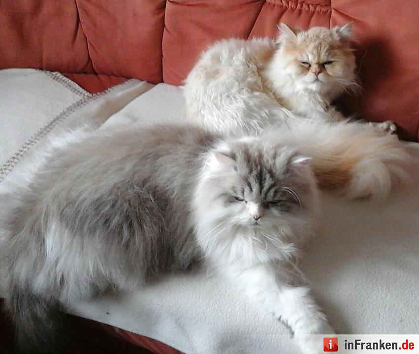 Foto Anja Partenfelder