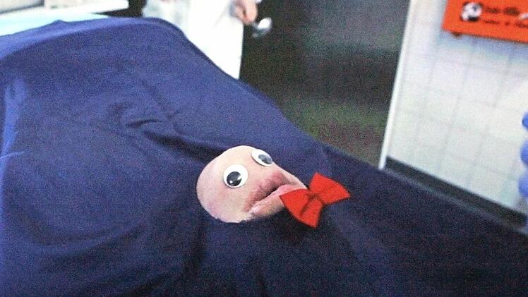 Gerichtsmediziner Axel Zuck (Michl Müller, man sieht nur die behandschuhten Hände) hat wohl etwas zu viel gekifft.  Foto: Josef Hofbauer