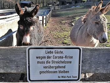 Die beiden Esel warten auf Besucher. Foto: Sigismund von Dobschütz