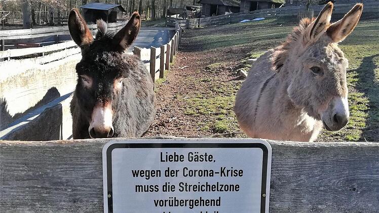 Die beiden Esel warten auf Besucher. Foto: Sigismund von Dobschütz