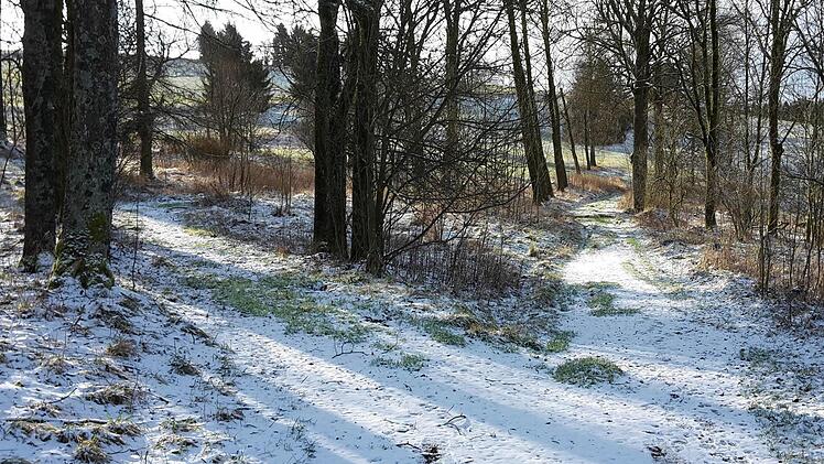 Im Rüblesgrund bei Nordhalben   Foto: Daniel Vogel