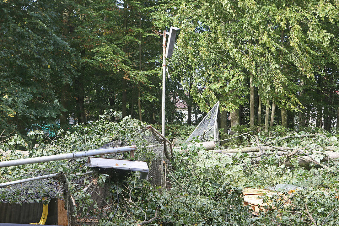 Aufraeumarbeiten in Bamberg nach schwerem Unwetter