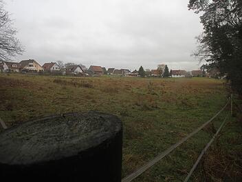 Um dieses Gelände in Klebheim geht es. Statt Pferdekoppel sollen dort vielleicht irgendwann Häuser stehen - direkt am Waldesrand. Foto: Michael Busch