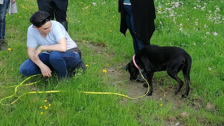 Lichtenfels: Tierschutz-Aktion soll Rehkitze retten