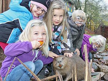 Biber Claus-Holger kommt bei den Kindergartenkindern gut an: Lisa (vorne) sowie Laura, Emilia, Joscha und Lara (von links)  streicheln ihren neuen Mitbewohner.  Foto: Sabine Herteux