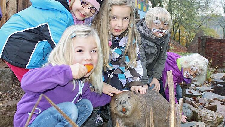 Biber Claus-Holger kommt bei den Kindergartenkindern gut an: Lisa (vorne) sowie Laura, Emilia, Joscha und Lara (von links)  streicheln ihren neuen Mitbewohner.  Foto: Sabine Herteux