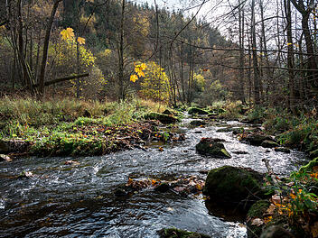 Umstrittenes Frankenwaldbr&uuml;cken-Projekt