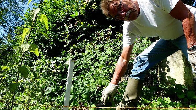 Mit diesem Kasten schaltet Helmut Löffler den Elektrozaun "scharf", um seinen Garten vor dem Biber zu schützen. Foto: Dieter Hübner