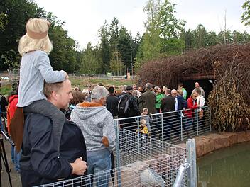 2016 stand das neue Biber-Gehege beim Wildpark-Fest am Klaushof im Mittelpunkt des allgemeinen Interesses. Ronald Heck