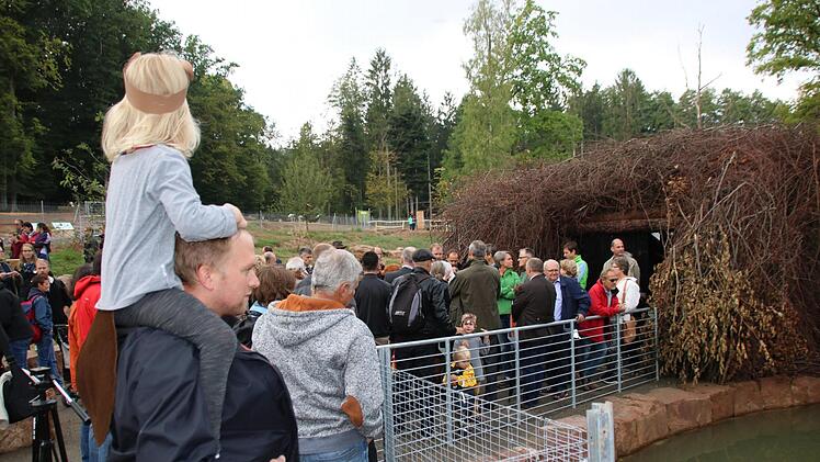 2016 stand das neue Biber-Gehege beim Wildpark-Fest am Klaushof im Mittelpunkt des allgemeinen Interesses. Ronald Heck