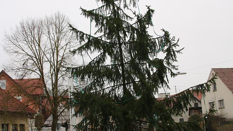 Krumm und schief ist der Seubrigshäuser Weihnachtsbaum.Foto: Thomas Malz
