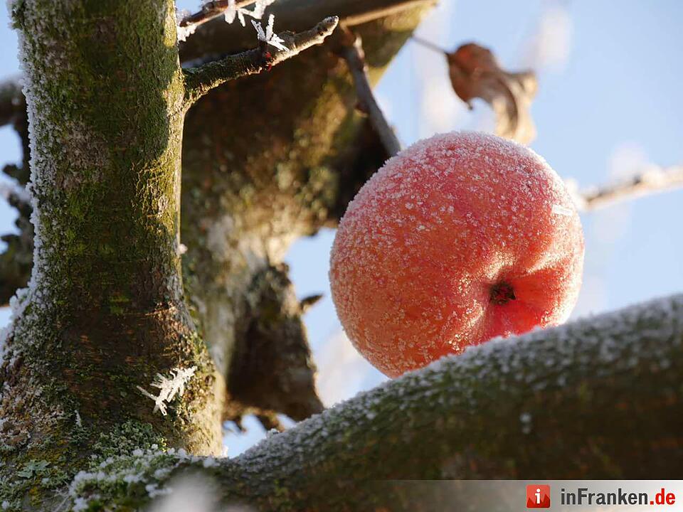 Eis und Schnee in Franken - die schönsten Winterleserfotos