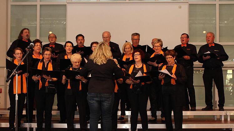 Singgemeinschaft Wachenroth mit neuer Chorleiterin Sylvia Malzer   Foto: Evi Seeger