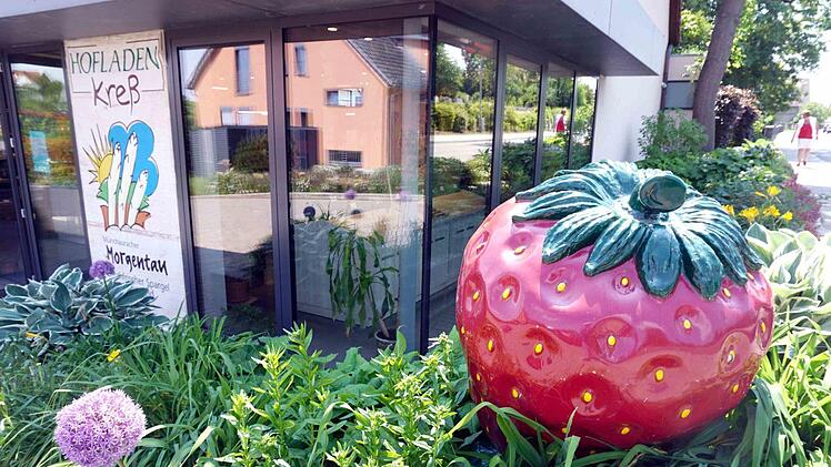 In Münchaurach werden Erdbeeren im großen Stil angebaut.   Foto: Richard Sänger