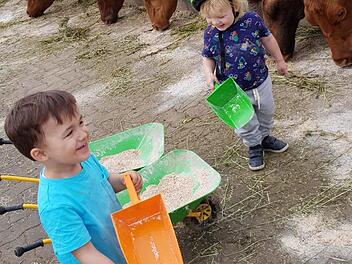 Die Kinder haben beim Füttern der Weiderinder viel Spaß.Fotos: Werner Reißaus