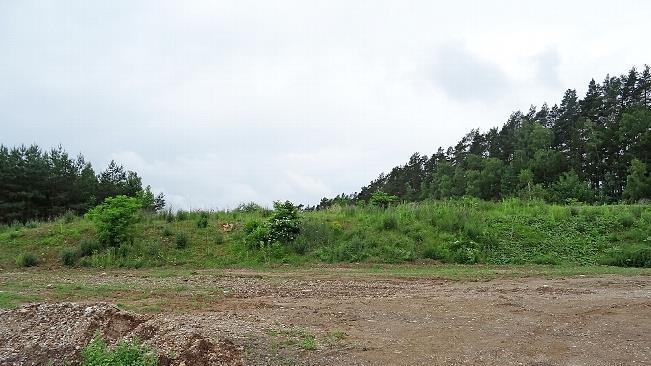 So hatte sich das der Naturschutz nicht vorgestellt. Die Sandgrube im Einberger Wald h&auml;tte nicht verf&uuml;llt sondern als seltener Lebensraum erhalten bleiben sollen.
