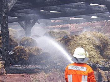 Die Thurnauer Feuerwehr war im vergangenen Jahr mehrfach gefordert. Hier werden am Morgen nach dem Scheunenbrand im Juli die Glutnester bekämpft. Foto: Archiv/Christian Schuberth