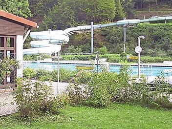 Um 20 000 Euro verringert hat sich im Sommer 2015 das Defizit für das Sommerbad in Wirsberg. Foto: Archiv/Werner Reißaus