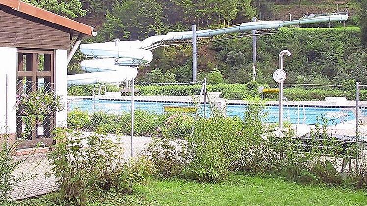 Um 20 000 Euro verringert hat sich im Sommer 2015 das Defizit für das Sommerbad in Wirsberg. Foto: Archiv/Werner Reißaus
