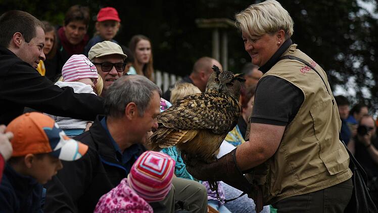 Bevor die Flugschau im Wildpark Schloss Tambach beginnt, dürfen die Besucher Uhu-Weibchen Teo vorsichtig über das Gefieder streicheln. Foto: Gabi Arnold