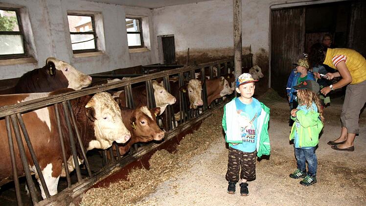 Foto: Richard Sänger