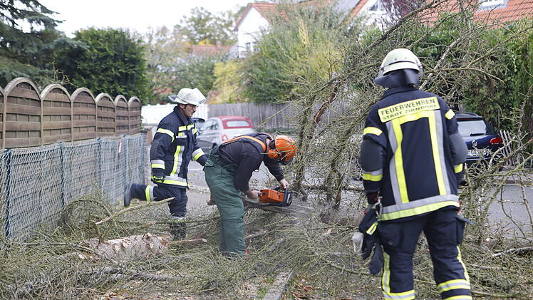Zirndorf: Orkan "Ignatz" hinterlässt schwere Schäden