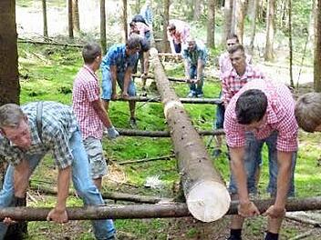 Die Kirchweihburschen beim Baumholen Foto: privat