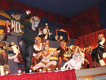 Der NCC feierte heuer sein 33. Bestehen mit zwei ganz besonderen Elferratssitzungen und genau vor 33 Jahren entstand auch ein ganz besonderes Musical: Cats. Mit eindrucksvollen Kostümen und liebevoll geschminkt bot die Juniorengarde das Musical dar. Fotos: Arthur Stollberger