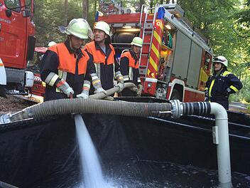 Die Feuerwehren aus Geroldsgrün, Wolfersgrün, Schnaid und Wallenfels übten gemeinsam im Wald der Bayerischen Staatsforsts.  Foto: Michael Wunder