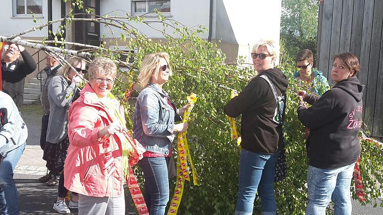 Der Maibaum war von Süd-Volkersern geschlagen worden, die Frauen aus Volkers-Nord hatten ihn geschmückt. Heike Kötzner