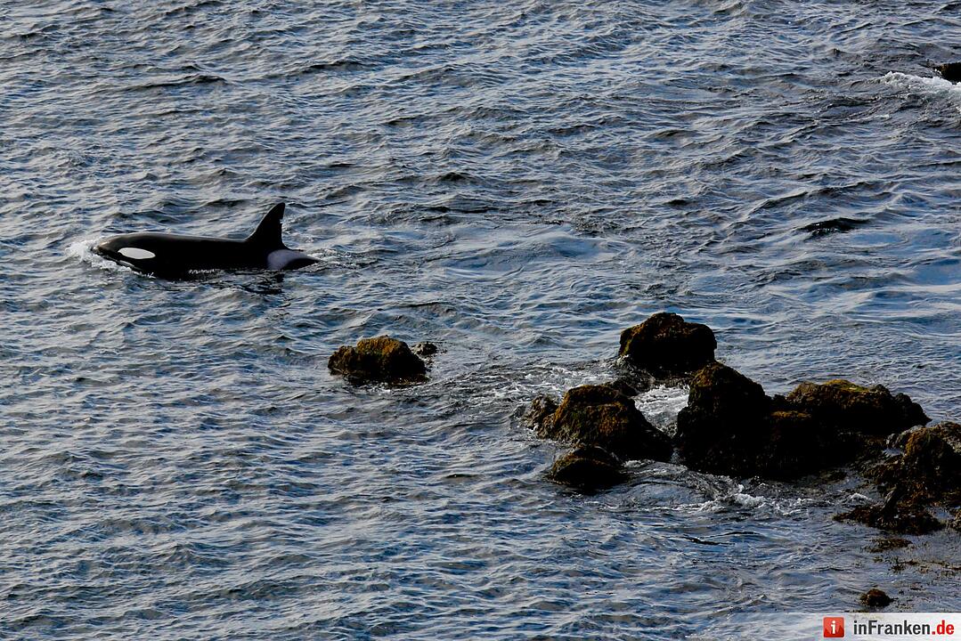 Bilder aus Island