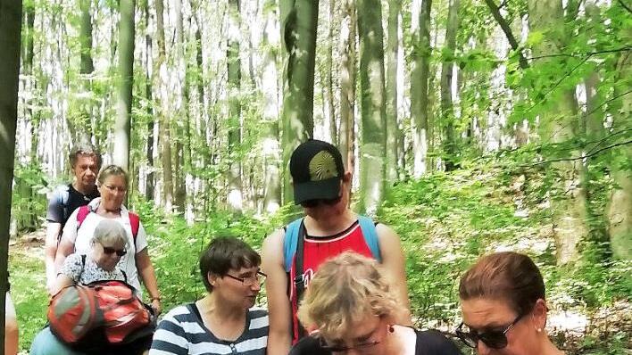 Menschen mit und ohne Handicap wandern gemeinsam. Foto: Peter Schmidt/Michael Hemm