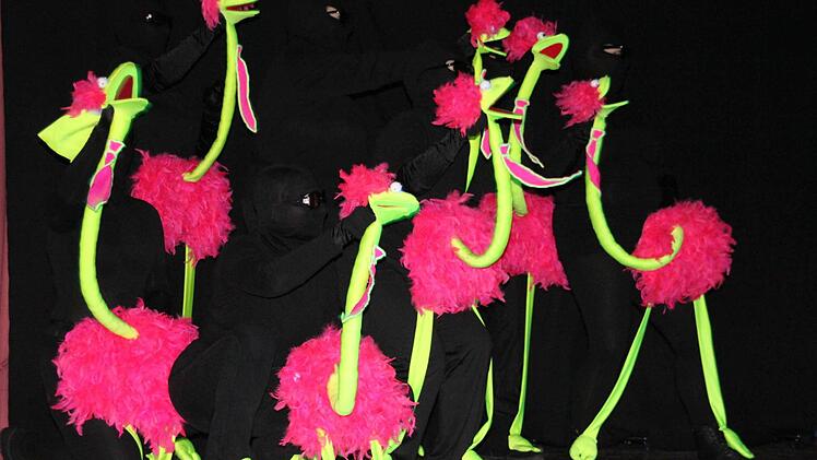 Die "Crazy Birds" aus Erlangen, die bei der Prunksitzung mit ihrer faszinierenden Schwarz-Lichtaufführung begeisterten.